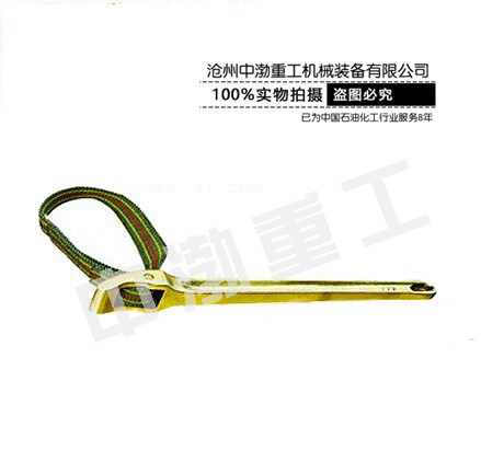 濟(jì)南防爆皮帶鉗